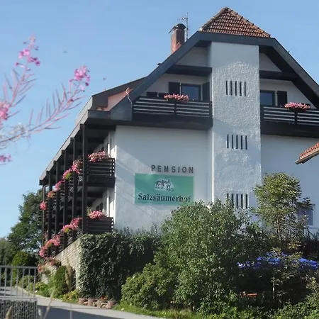Salzsaumerhof Πανσιόν Spiegelau